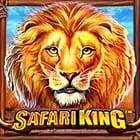 Safari King screenshot